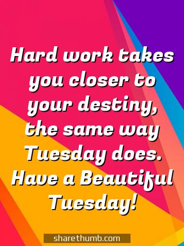 funny quote about tuesday